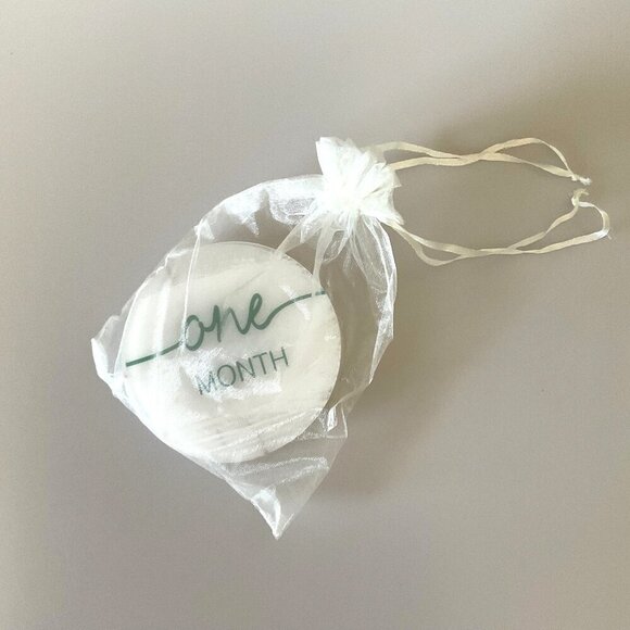 BABY MONTHLY MILESTONE SIGNS GENDER NEUTRAL ACRYLIC DISCS - Picture 8 of 13